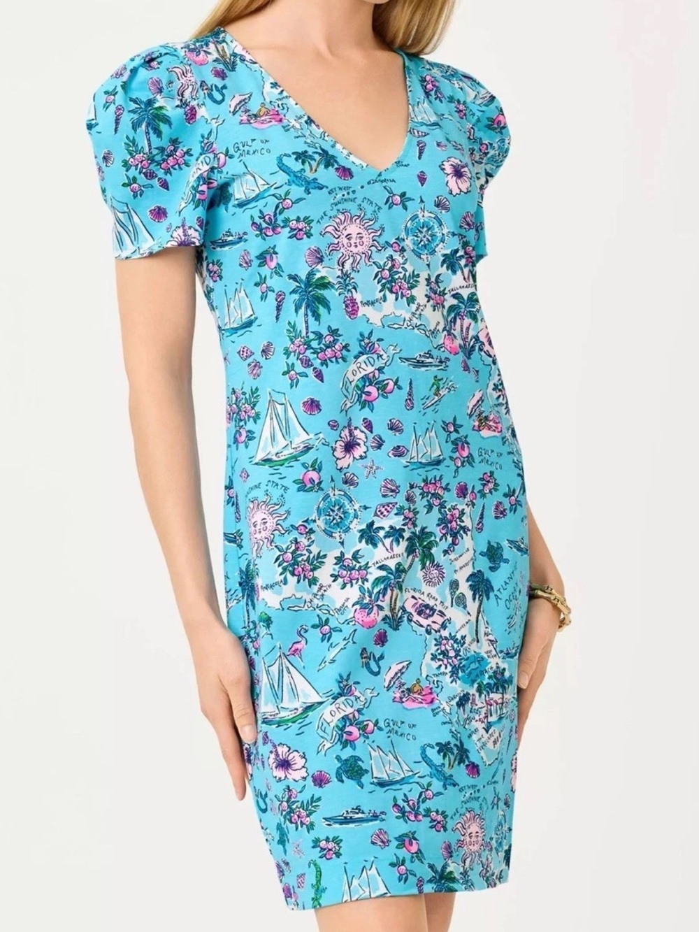Lilly Pulitzer Aleece Dress Lilly’s Road Trip Florida Medium New